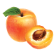 Apricot