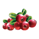 Cranberry