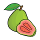 Guava