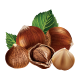 Hazelnut