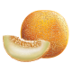 Honeydew Melon