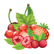 Red Berries