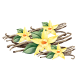 Vanilla